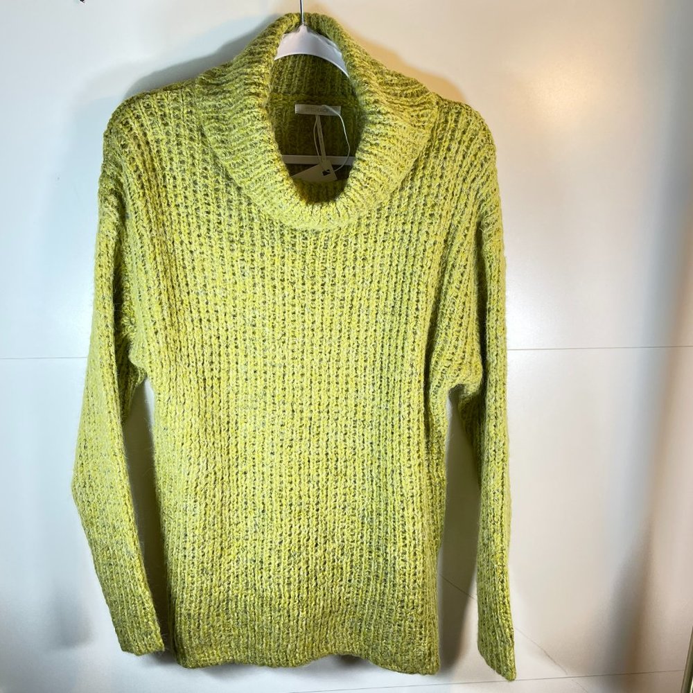 NWT! StitchDrop Fireside Sweater in Pear